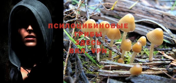 круглые Надым