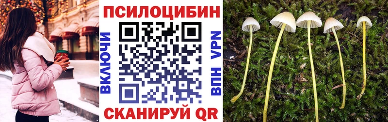Галлюциногенные грибы Cubensis  сколько стоит  ссылка на мегу tor  Шатура 