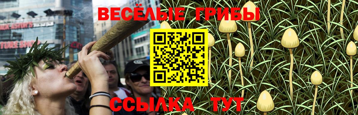 Псилоцибиновые грибы мицелий  Шатура  даркнет сайт  Галлюциногенные грибы MAGIC MUSHROOMS 