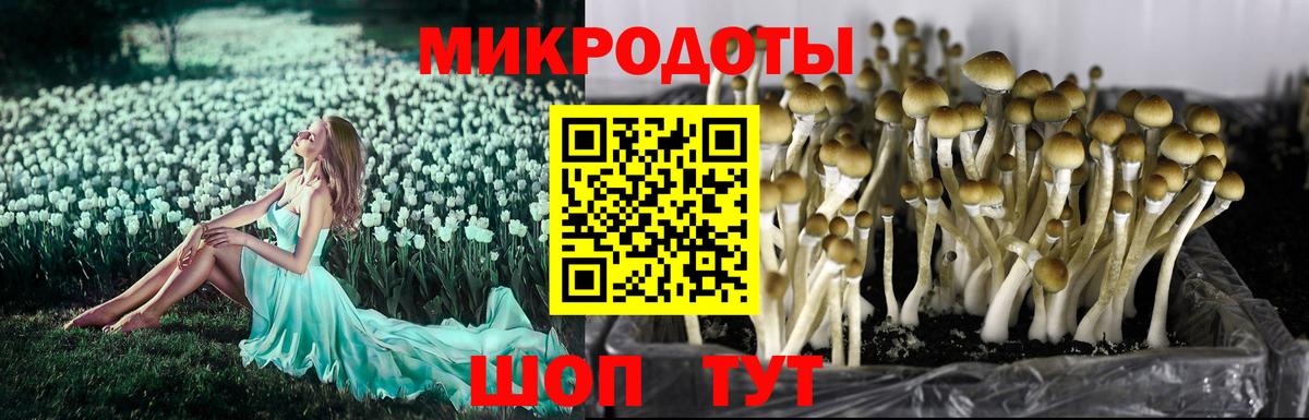 Галлюциногенные грибы MAGIC MUSHROOMS  Вход с VPN  Галлюциногенные грибы мицелий  Шатура 