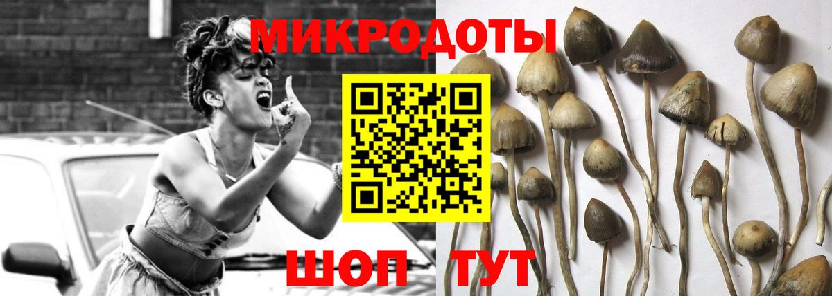 Галлюциногенные грибы Magic Shrooms Шатура