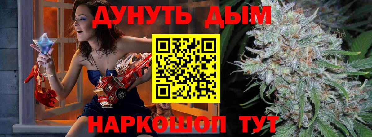 Каннабис план Шатура