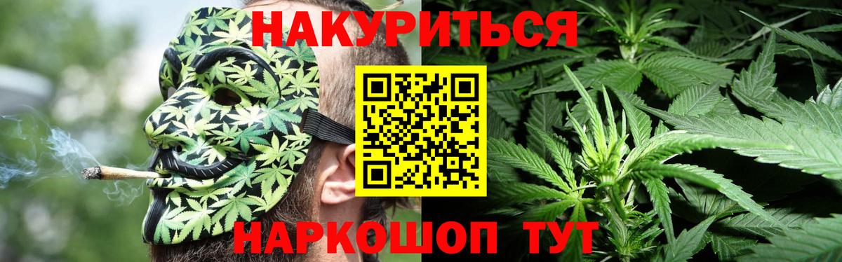 Шишки марихуана семена Шатура